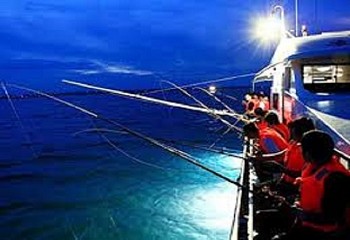 Câu Mực Đêm Phú Quốc