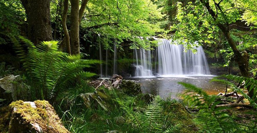 Công Viên Quốc Gia Phú Quốc